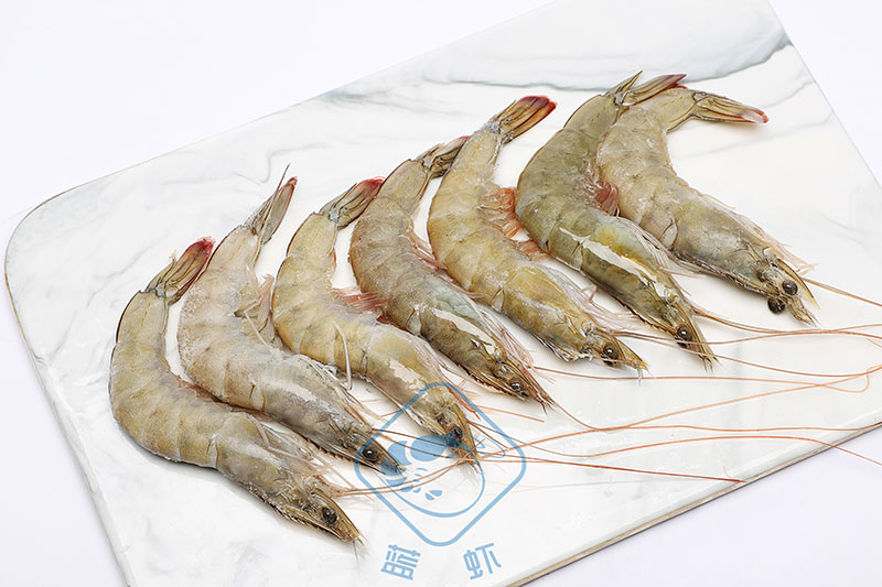 厄瓜多尔白虾