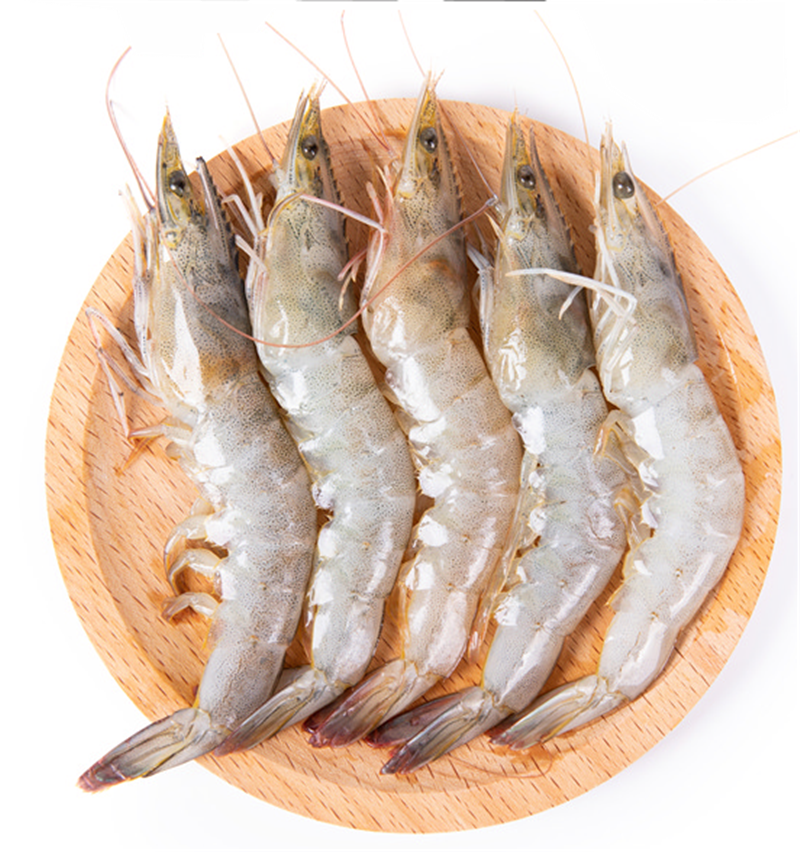 厄瓜多尔白虾