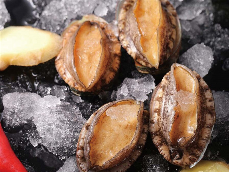 深海鲍鱼（壳肉不分离）